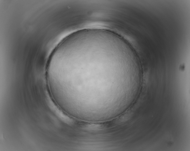 X0000116831470200912181422