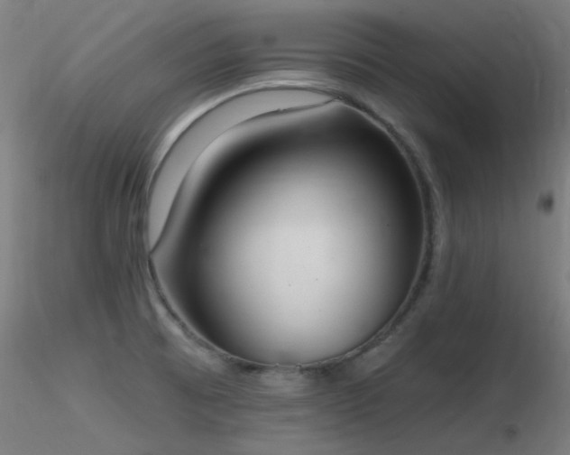 X0000116831473200912181422