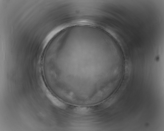 X0000116831474200912181422