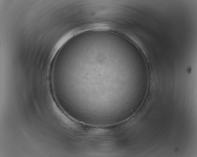 X0000116831475200912181422