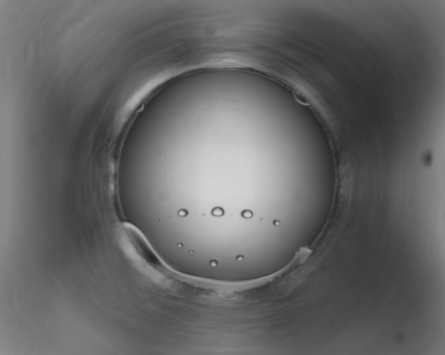 X0000116831476200912181422