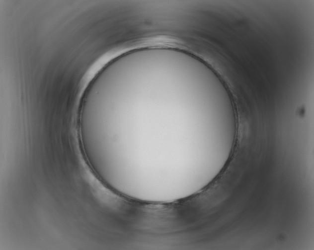 X0000116831478200912181422
