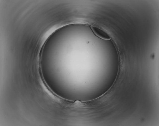 X0000116831479200912181422
