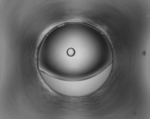 X0000116831480200912181422