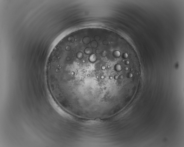 X0000116831482200912181422