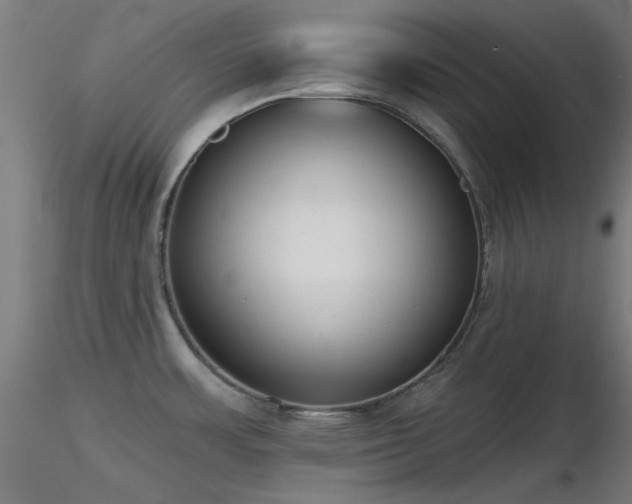 X0000116831483200912181422