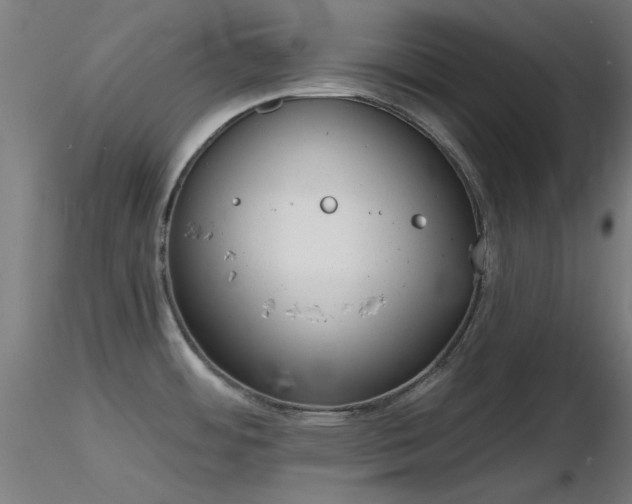 X0000116831484200912181422