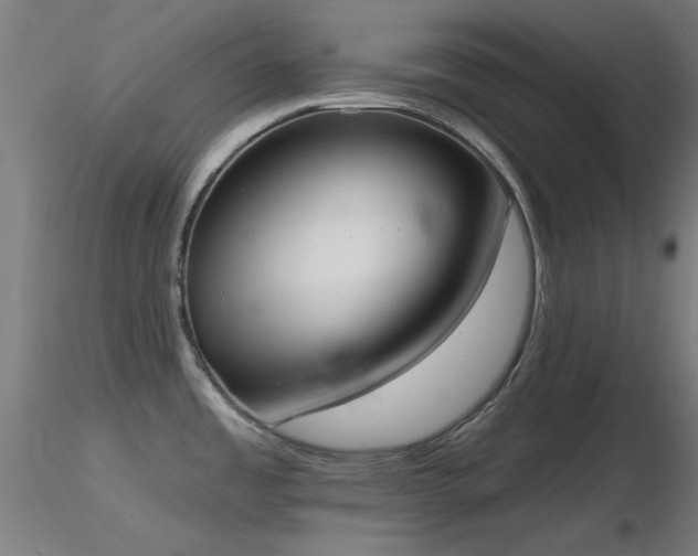 X0000116831485200912181422