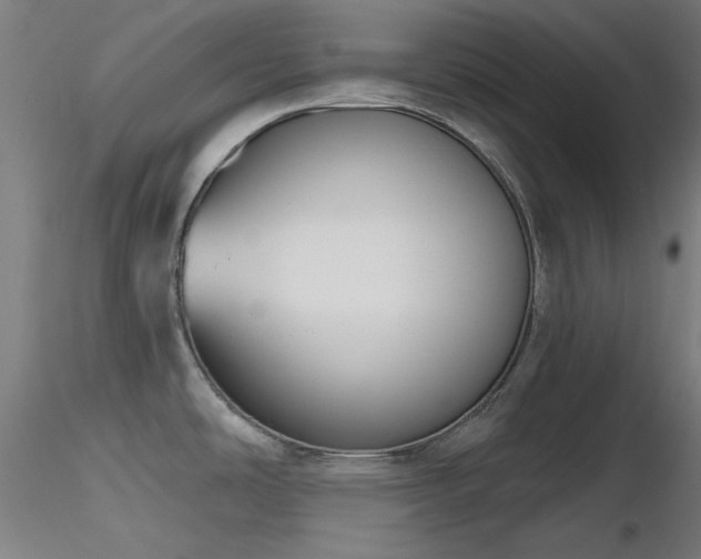 X0000116831486200912181422
