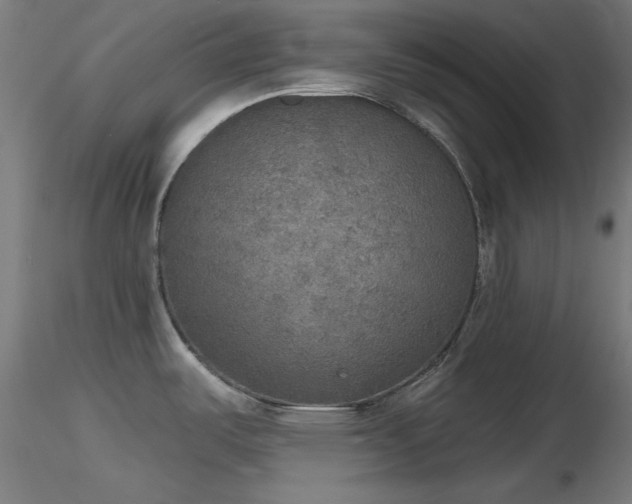 X0000116831487200912181422