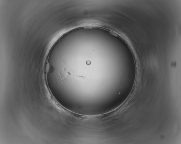 X0000116831488200912181422