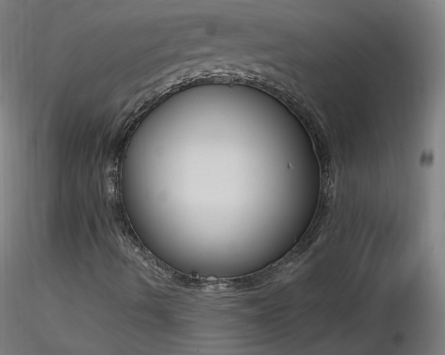 X0000116831490200912181422