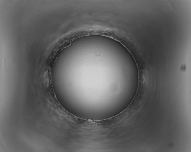 X0000116831493200912181422