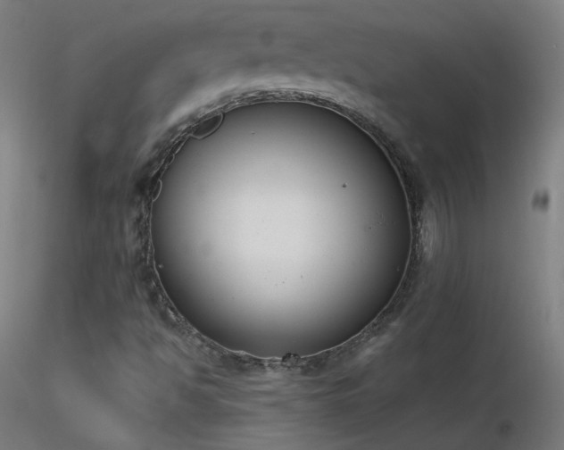X0000116831494200912181422