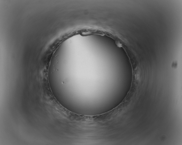X0000116831495200912181422