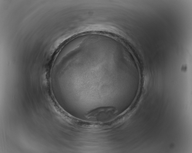 X0000116831497200912181422