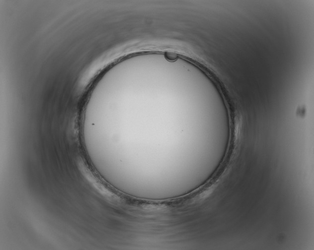 X0000116831498200912181422