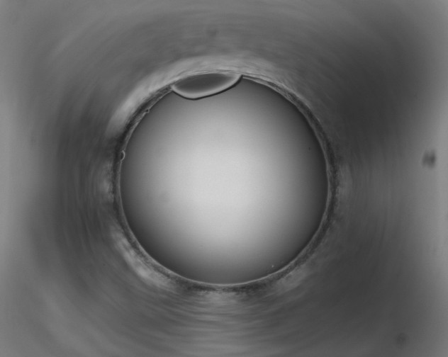 X0000116831499200912181422