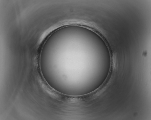 X0000116831501200912181422