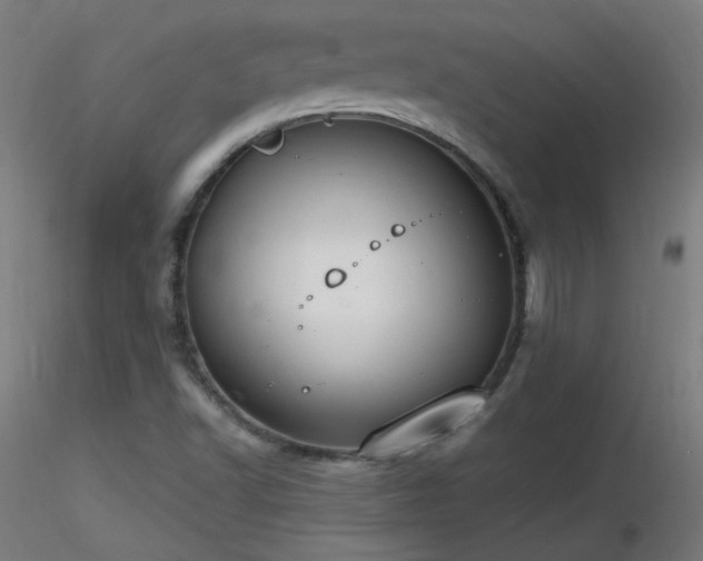 X0000116831502200912181422