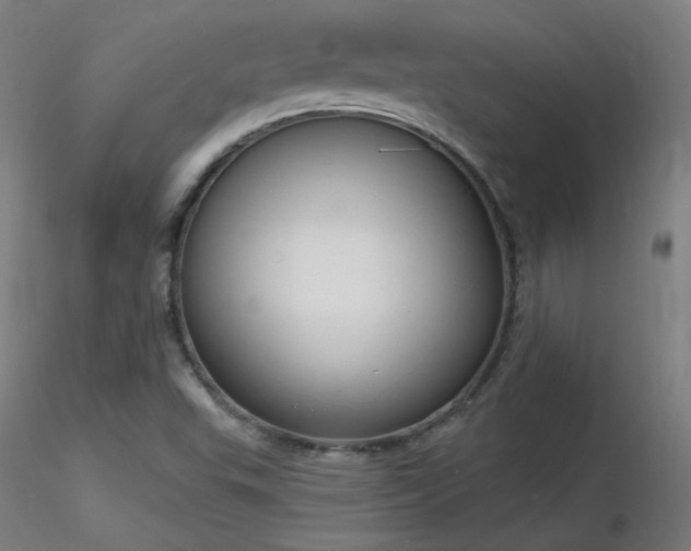X0000116831503200912181422