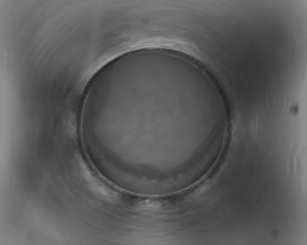 X0000116831505200912181422