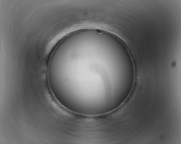X0000116831507200912181422