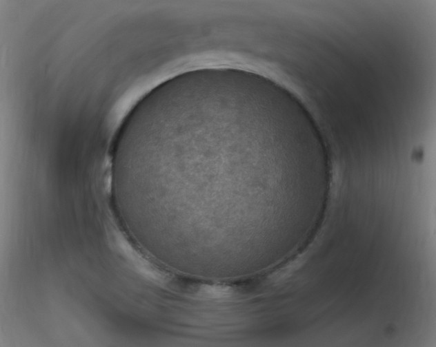 X0000116831509200912181422