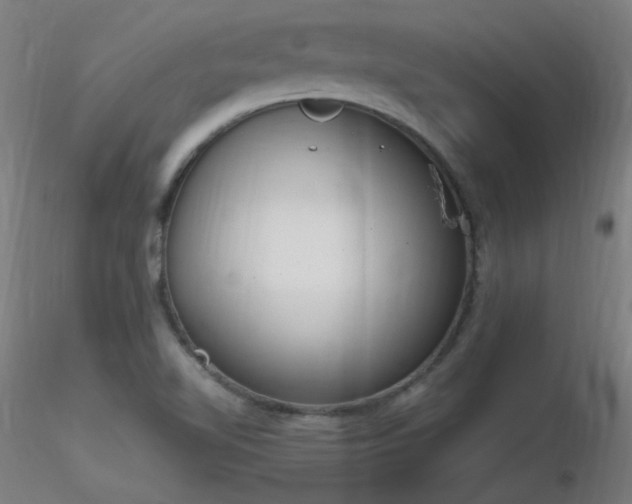 X0000116831510200912181422