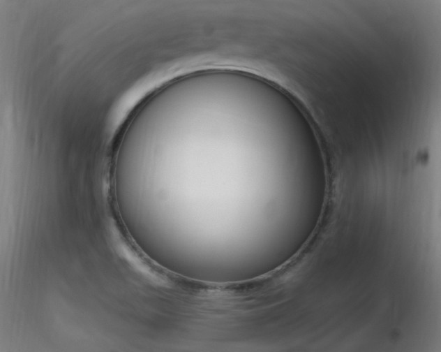 X0000116831511200912181422