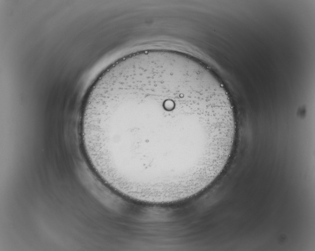 X0000116831514200912181422