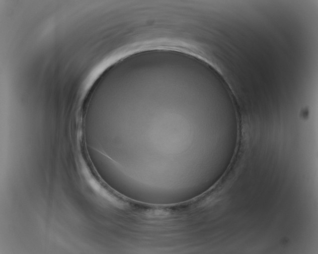 X0000116831515200912181422