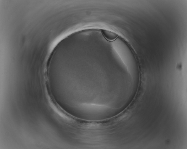 X0000116831519200912181422