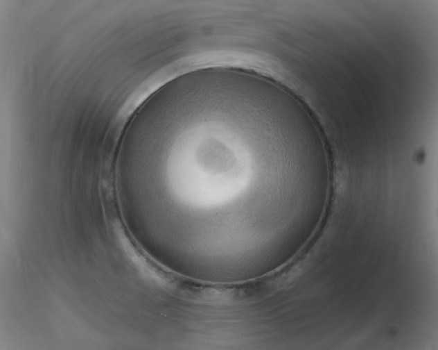 X0000116831521200912181422