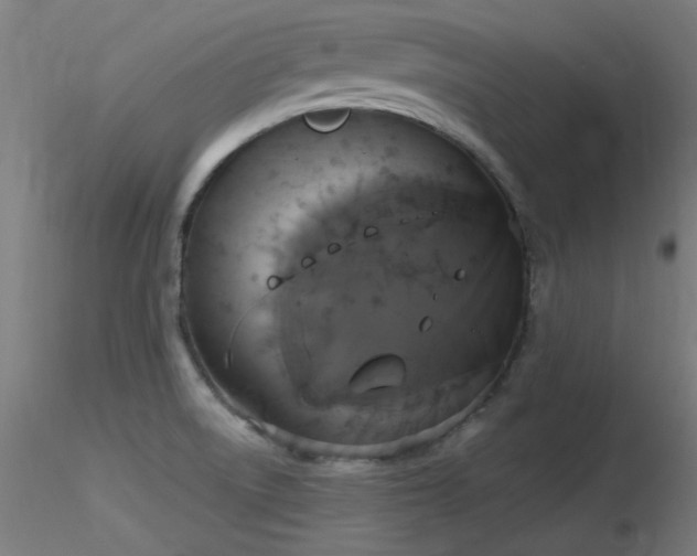 X0000116831522200912181422