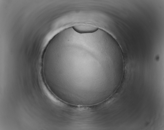 X0000116831523200912181422