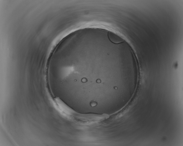 X0000116831525200912181422