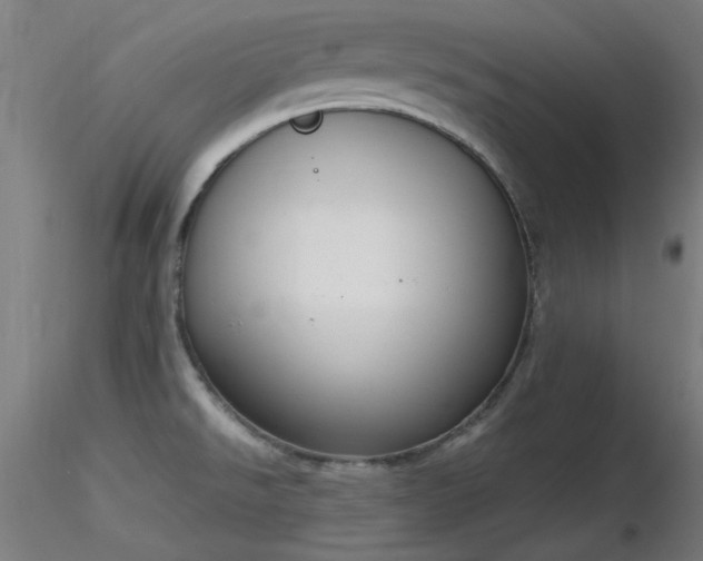 X0000116831526200912181422