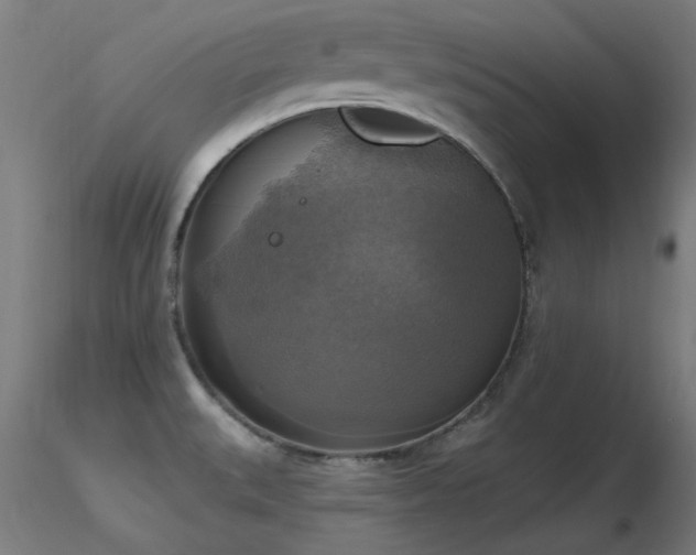 X0000116831527200912181422