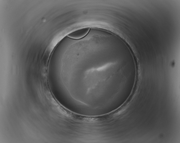 X0000116831529200912181422