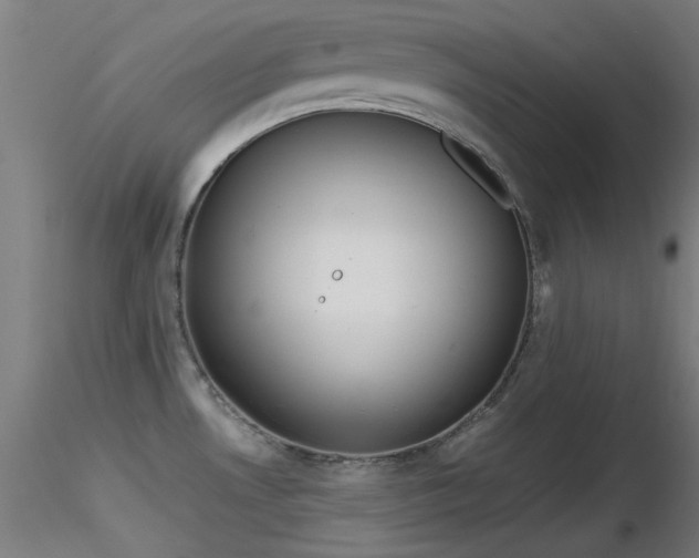 X0000116831530200912181422