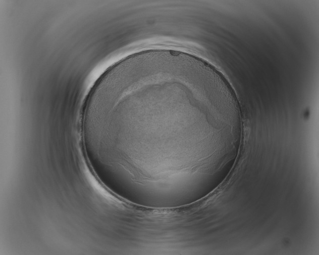 X0000116831531200912181422