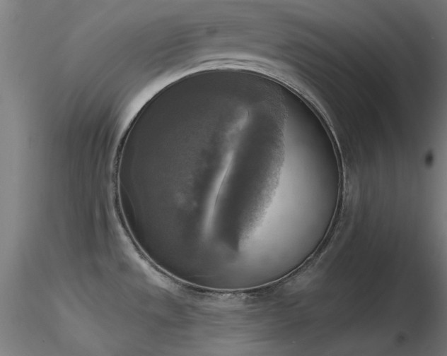 X0000116831533200912181422