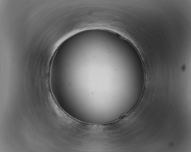 X0000116831534200912181422
