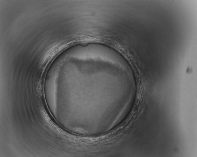 X0000116830002200912241236