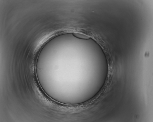 X0000116830005200912241236
