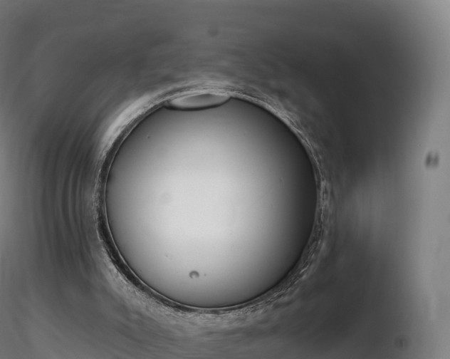 X0000116830007200912241236