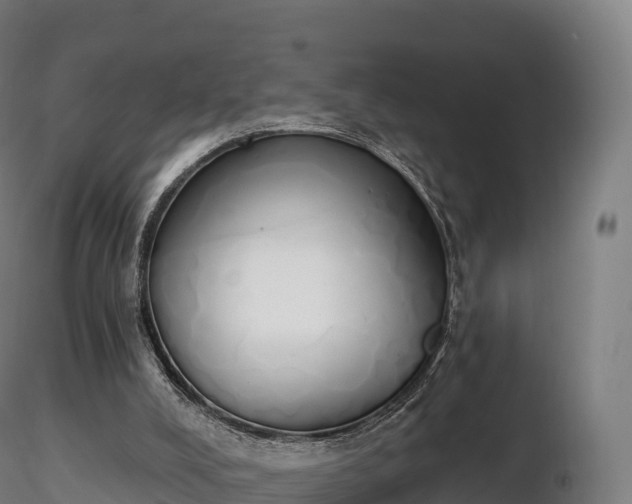 X0000116830008200912241236