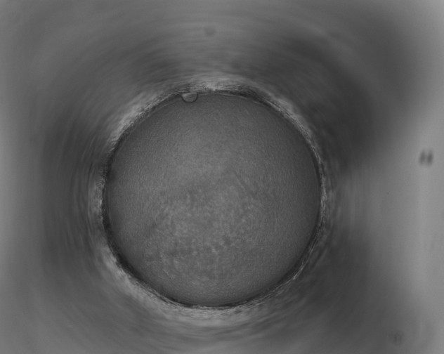 X0000116830010200912241236