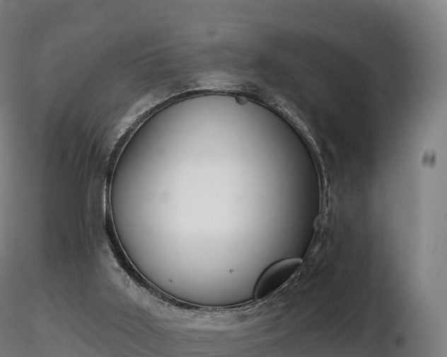 X0000116830011200912241236